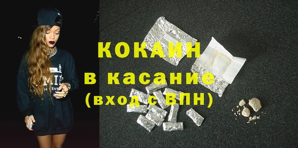 стаф Алзамай