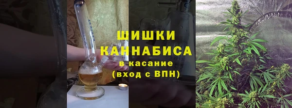 стаф Алзамай